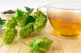 The decoction of the hops